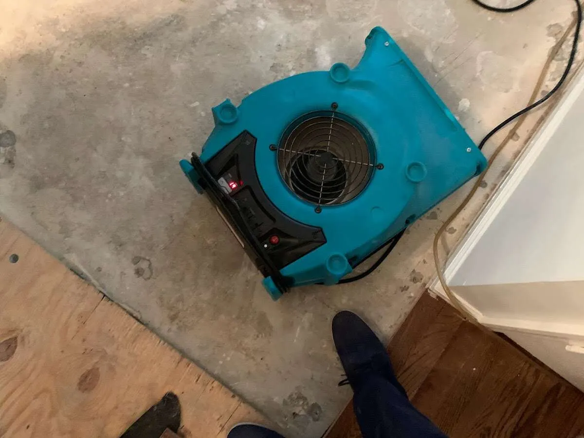 Air mover drying subfloor during Leak Detection & Repair in Florence